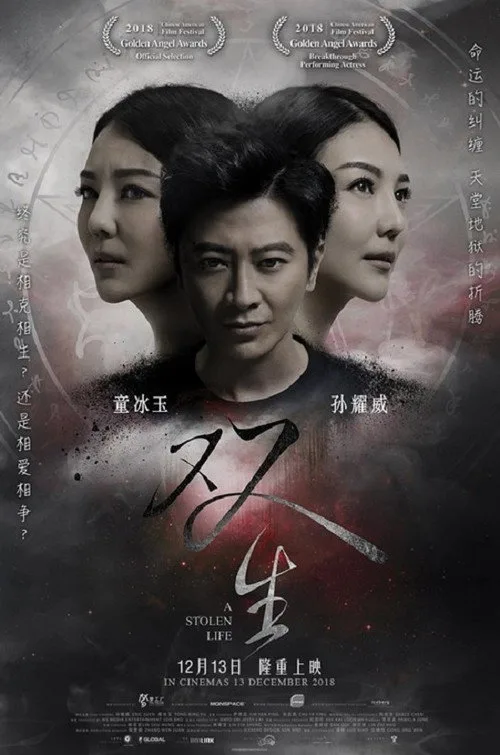 A Stolen Life (2018) poster