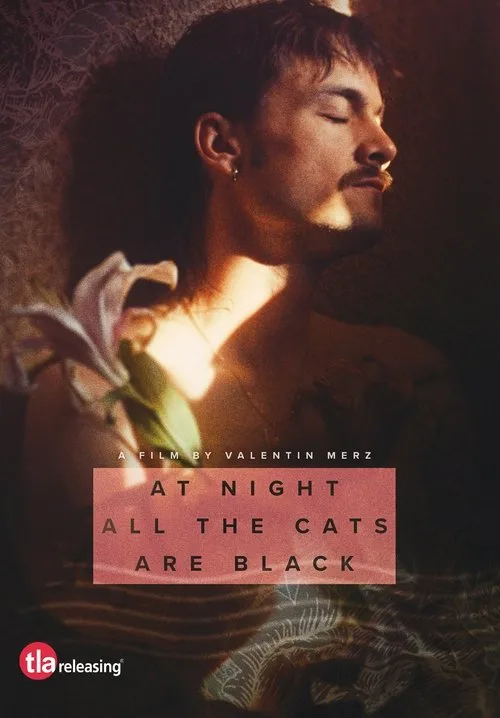 At Night All the Cats Are Black (2023) poster