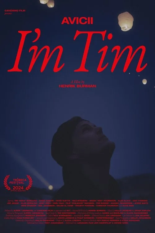 Avicii - I'm Tim (2024) poster