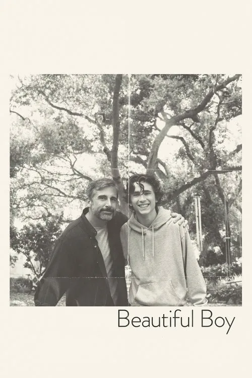 Beautiful Boy (2018) poster