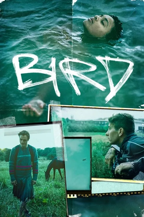 Bird (2024) poster
