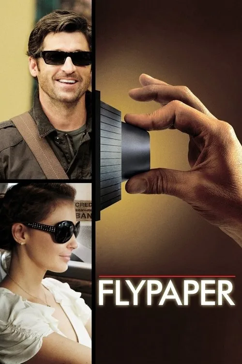 Flypaper (2011) poster