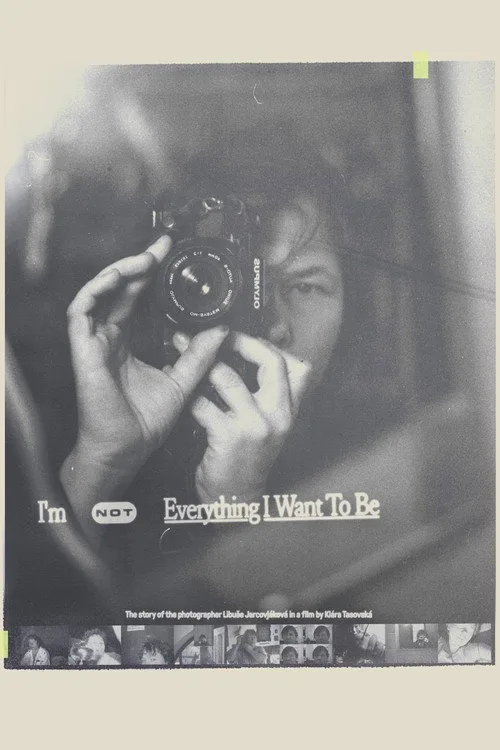 I'm Not Everything I Want to Be (2024) poster