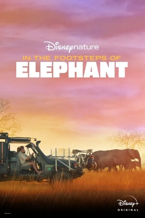 In the Footsteps of Elephant (2020) poster
