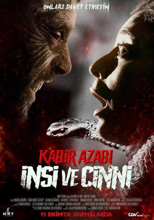 Kabir Azabı: İnsi ve Cinni (2024) poster