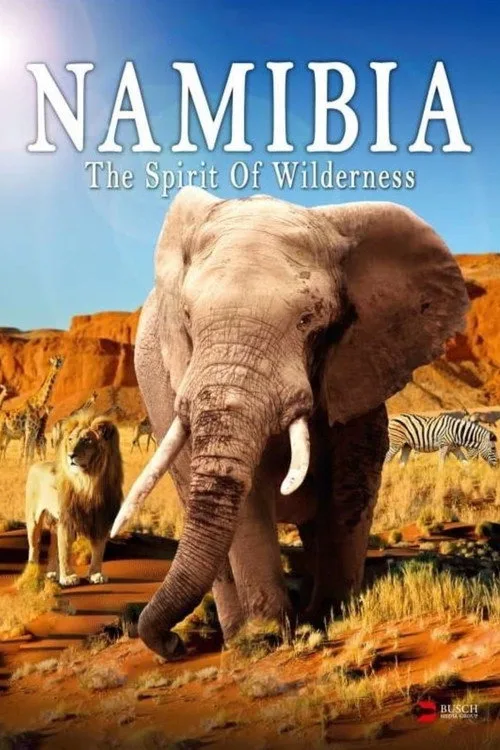 Namibia - The Spirit of Wilderness (2016) poster
