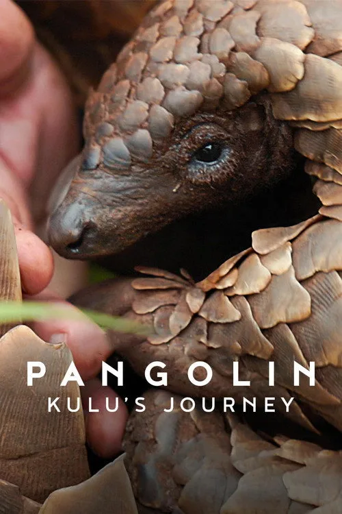 Pangolin: Kulu's Journey (2025) poster