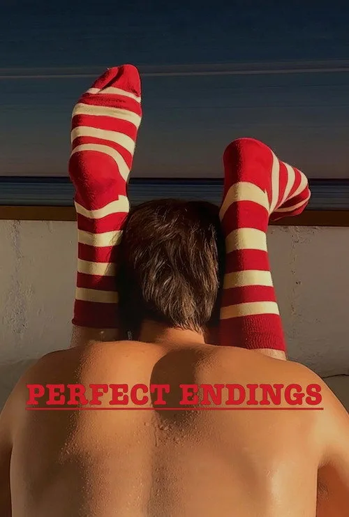 Perfect Endings (2024) poster