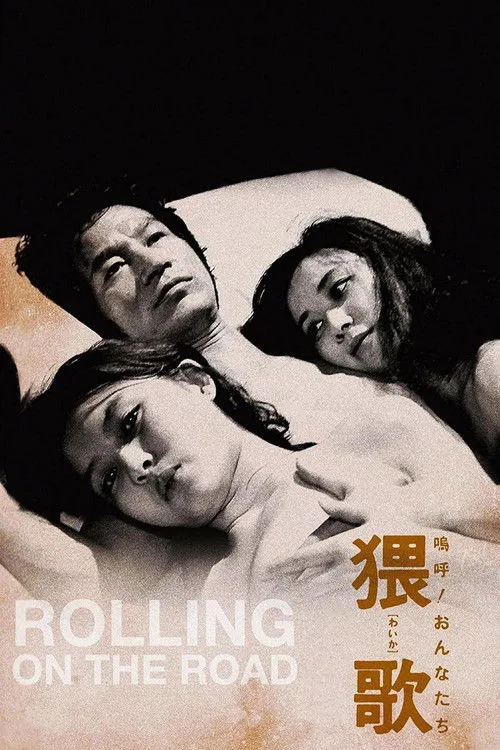 Rolling on the Road (1981) poster