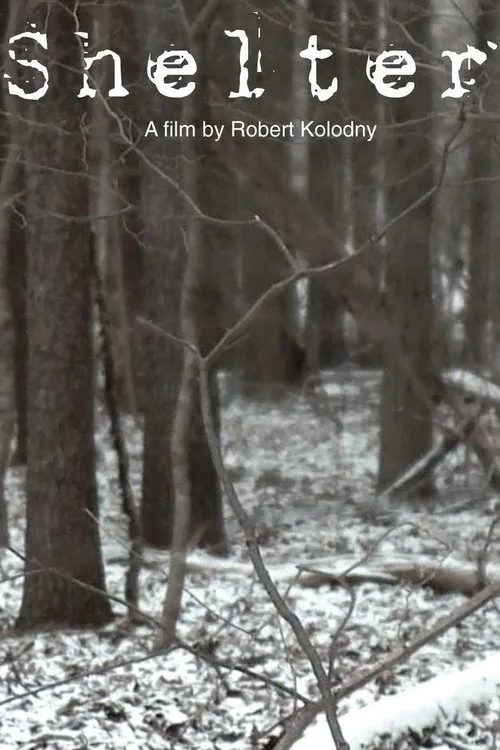 Shelter (2010) poster
