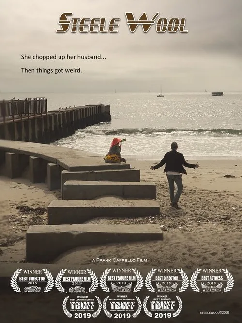 Steele Wool (2019) poster