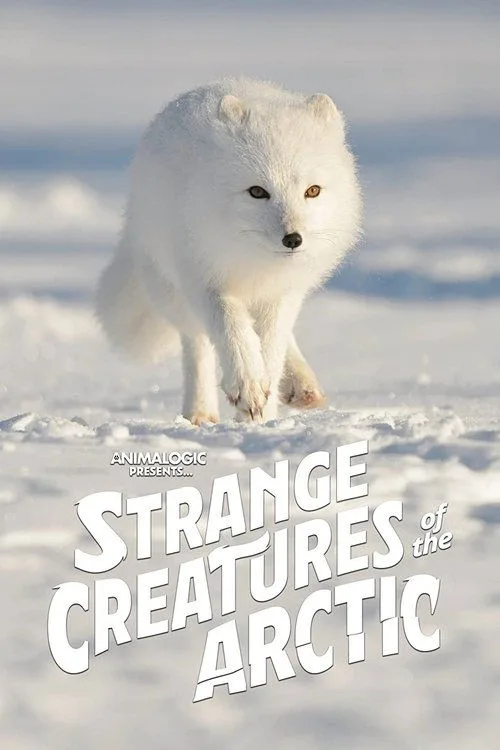Strange Creatures of the Arctic (2022) poster