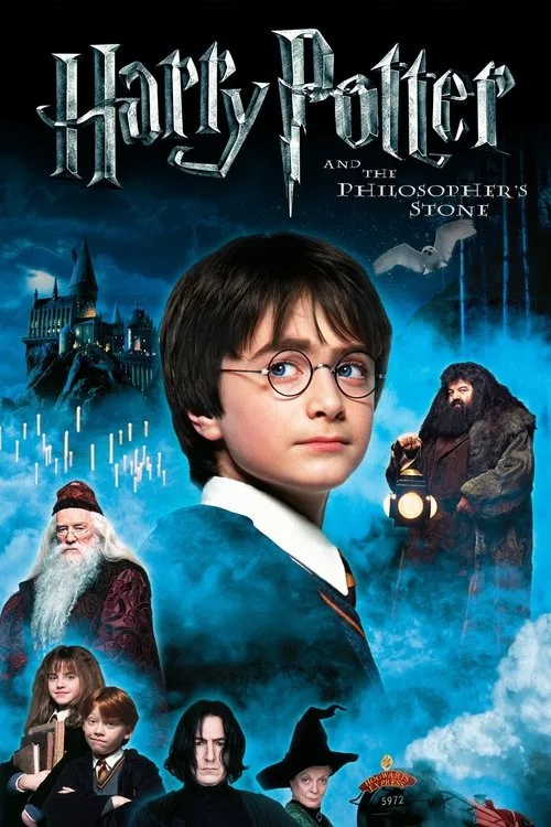 The Stone (2025) poster