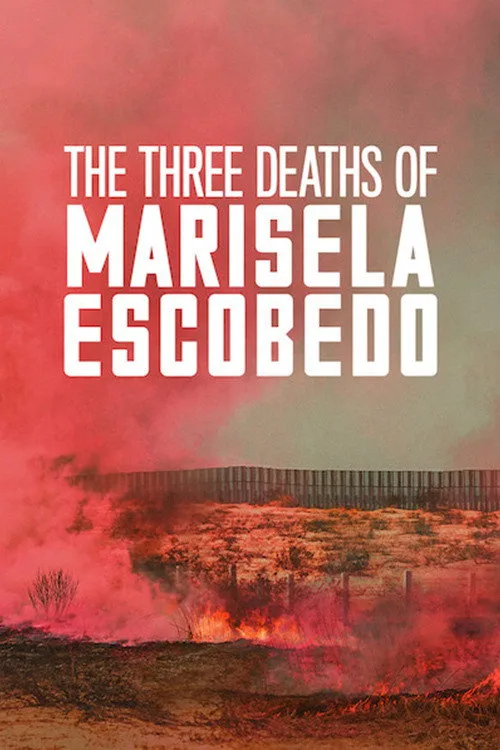 The Three Deaths of Marisela Escobedo (2020) poster