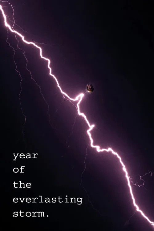 The Year of the Everlasting Storm (2021) poster