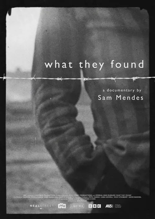 What They Found (2025) poster