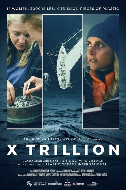 X Trillion (2024) poster