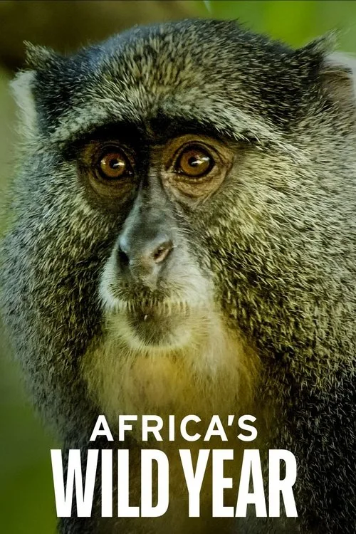 Africa's Wild Year (2021) poster