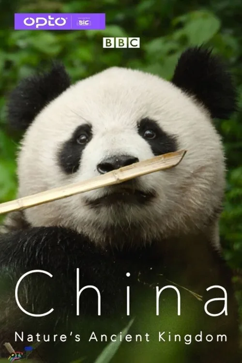 China Nature's Ancient Kingdom (2021) poster