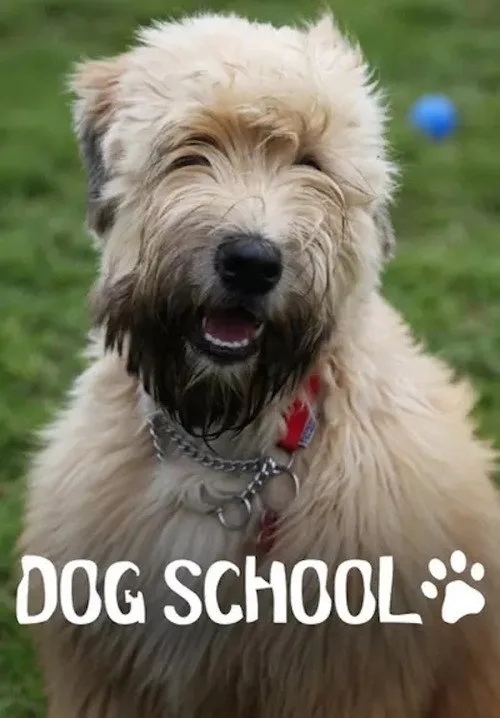 Dog School (2018) poster