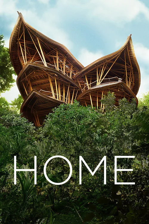 Home (2020) poster