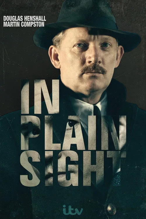 In Plain Sight (2016) poster