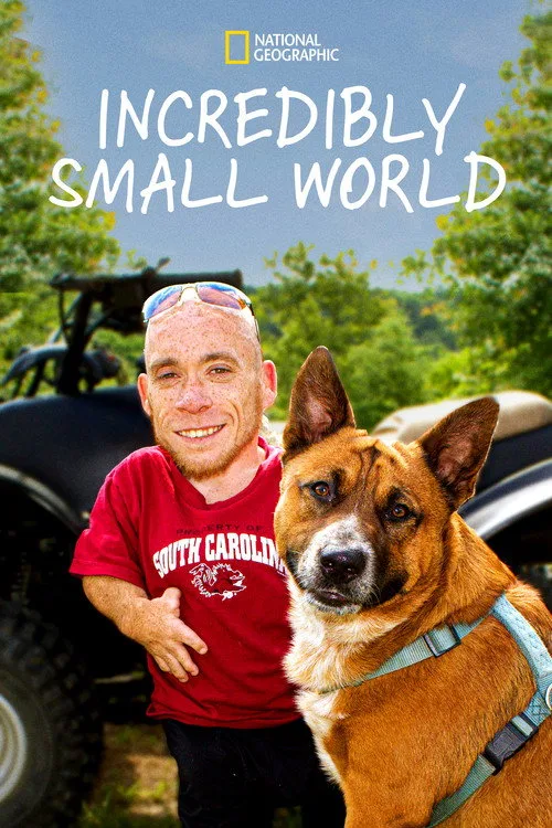 Incredibly Small World (2014) poster