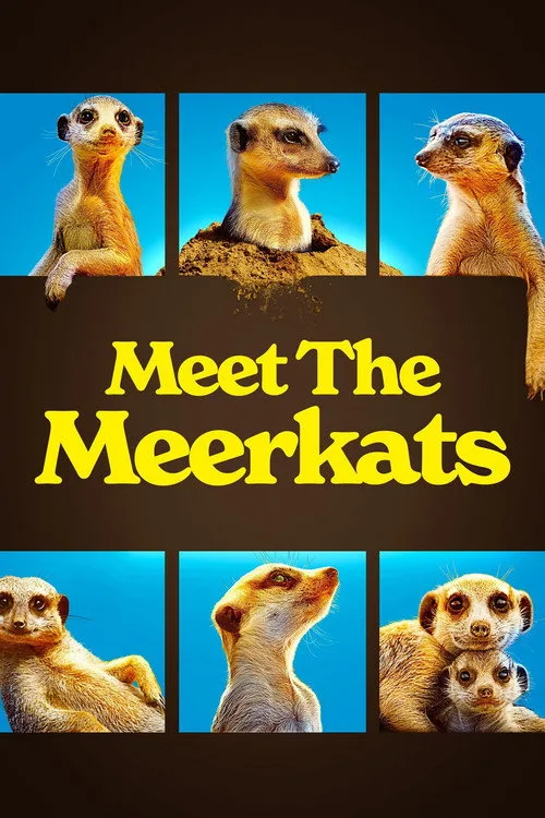 Meet The Meerkats (2021) poster