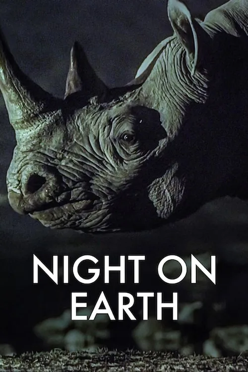 Night on Earth (2020) poster