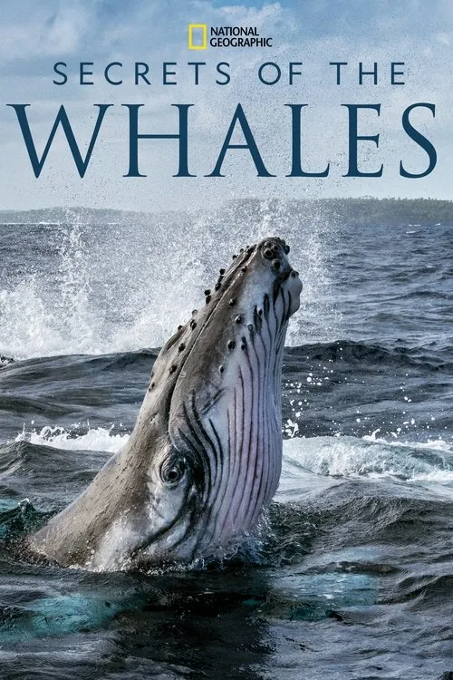 Secrets of the Whales (2021) poster