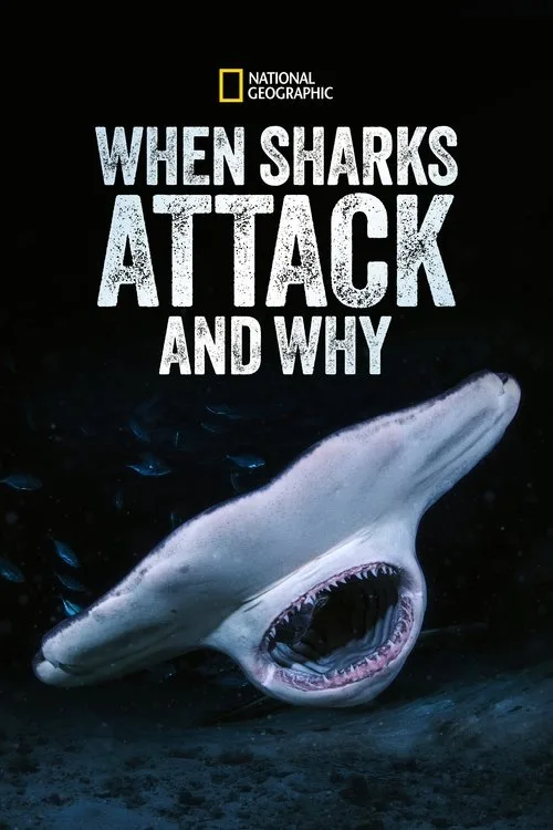 When Sharks Attack... and Why (2023) poster