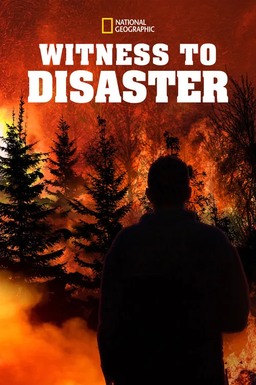 Witness to Disaster (2019) poster